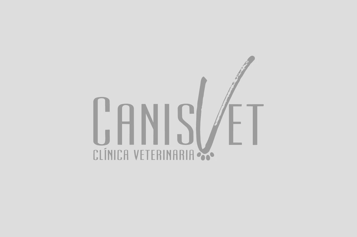 Identidad anterior Canisvet